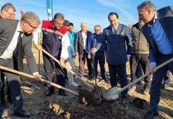 Bir fidan dik, bir kız çocuğunu okut! Karadeniz'in en büyük sosyal projesi Tekkeköy'de hayata geçti: Gelir 40 milyon TL'yi bulacak