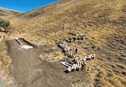 Niğde'de herkes kazanacak: 17 bin dönüm alanda yapıldı!