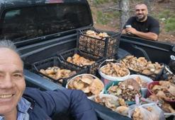 Denizli'de ormana giden eli boş dönmüyor! 2 saatte kamyonet dolusu ürün çıkardılar: Toplananlar bedava dağıtıldı