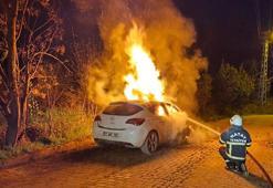 Hatay'ın Defne ilçesinde otomobilde çıkan yangın söndürüldü