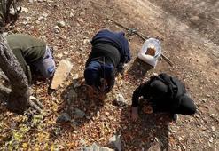 Toros Dağları'na mantar toplamaya gidince keşfettiler! Gizemli hayırsever 30 yıl önce aşılamış