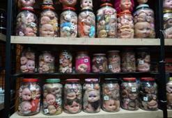 5 bin parçalık koleksiyonun sıra dışı hikayesi! Kocaeli'de görenleri ürkütüyor