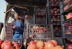 Kuraklık verimi yarı yarıya düşürdü! Doğu'da 35 lira Batı'da 70 liraya satılıyor