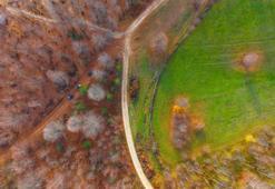 Herkes "sanayi şehri" olarak biliyor! Ama Kocaeli'nin öteki yüzünü kimse bilmiyor