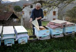 Kilosu 1.200 TL'ye dayandı! Dünyanın en önemli 100 noktasından birinden geliyor! Karabük Yenice Ihlamur Balı'ndan tarihi başarı: Markalaşma hamlesi başladı