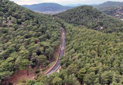 Muğla'da böylesi görülmedi: 328 milyon TL tutuyor