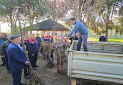 Aydın'da üretimi değiştirecek adım! Dayanıklı fidanlar üreticilere dağıtıldı