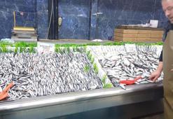 Tezgahlarda palamut yok, hamsi çok
