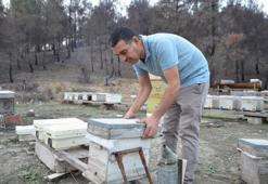 Irkını belirledi, 10 tane alıp üretime başladı! Türkiye'nin her yerine satıyor: 2 bine çıkardı