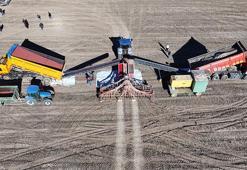 İç Anadolu'da 77 bin dekar alanda kuraklıkla mücadele ediyor! 40 günlük ekim dönemi bitti, 2026 hasat hedefi 16 bin ton