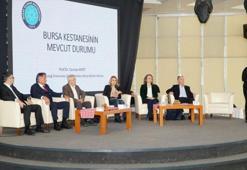 Bursa’nın tescilli ürünü tehdit altında! Şehrin simgesi için yeni yol haritası çizildi…