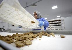 Osmanlı'dan kalma lezzet sırrı: Malatya'da 3 kuşaktır aynı aile üretiyor! Doktorlar bile tavsiye ediyor