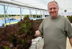 50 dönümlük kapasiteyi 5 bin metrekareye sığdırdı: Her kuruşu yatırım yaptı! Günlük 400 kilo alıyor