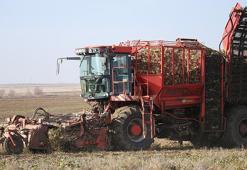 Ermenistan sınırında ekonomiye 13 bin tonluk katkı: 94 bin ton pancar kristal şekere dönüştü