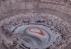 Konya'nın haritası güncellendi: Sayıları giderek artıyor! 12 ilçede sayımı yapıldı