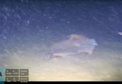 Marmara Denizi'nin dibinde 50 yıllık sır çözüldü: THY'nin kayıp uçağı 'Bursa'ya ait parçalar bulundu