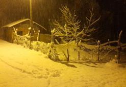 Bitlis’te karla karışık yağmur Ahlat’ta yoğun kar yağışına dönüştü