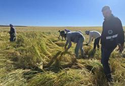 Kimse bilmiyor, Diyarbakır'da kocası sayesinde keşfetti! 6 yıl bekleyince ortaya çıkıyor