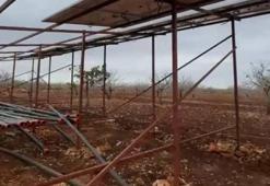 Şanlıurfa’da pes dedirten olay! Köylüler tarlaya inince gözlerine inanamadı