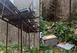 Rize’de ne yaptılarsa olmadı! Ayılar köye musallat oldu