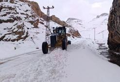 Kar yağışı Van'ı esir aldı! Onlarca köyle bağlantı koptu