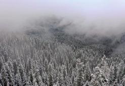 Kastamonu'da kar ve sis Ilgaz Dağı'nı beyaz cennete çevirdi