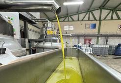 Hatay'da muhtarın kurduğu tesis mahallelinin geçim kaynağı oldu! Ürettiklerini Suudi Arabistan'a satıyorlar