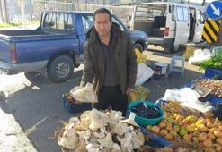 Dev görüntüleriyle pazarda ilgi odağı oldu! Kilosu ise 100 lira