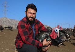 Yurtdışından dönüp, memleketine çiftlik kurdu! Şimdi para kazanmak için yılbaşını bekliyor