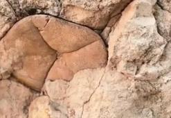 Malatya'nın jeolojik hazinesi ilçesinde bulundu! İzleri Arapgir'de ortaya çıktı