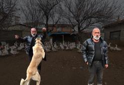 Asgari ücretle çalışmayı reddedip İstanbul'u terk etti! 2 bin TL sermayeyle başlayıp köyünü ürettim üssüne çevirdi