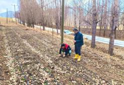 Üreticiye ek gelir kapıda: Bayburt'ta incelendi, parsel parsel karar verildi