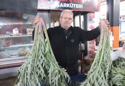 Karaciğer dostu sebze pazarda yoğun ilgi görüyor! Fiyatları 50-100 TL arasında değişiyor