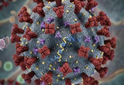 Mutasyonlu virüs alarmı: Türkiye'ye H3N2 uyarısı