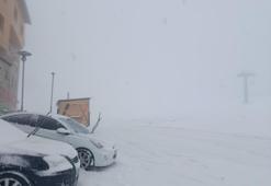 Samsun da havadan kazandı: Dağlarda görüldü!