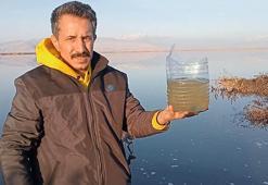 Eber Gölü alarm veriyor! Hiçbir canlı kalmadı, yaşam tamamen bitti