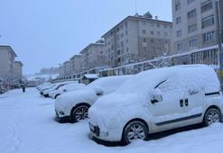 Van’da yoğun kar yağışı! Uçak seferleri rötar yaptı
