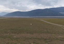 Bursa'da göl dibinde 14 metre bulundu! 4 üründe fark yarattı