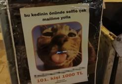 Tüm Eskişehir bu kediyi konuşuyor: Herkes fotoğraf çekilmek için sıraya giriyor, sebebi ise çok ilginç!