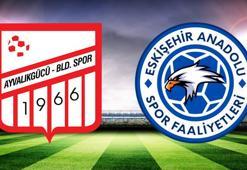 Ayvalıkgücü Belediyespor sahasında Eskişehir Anadolu Spor'u 2 golle geçti