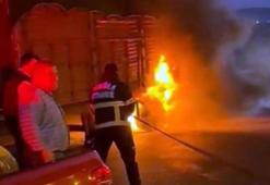 Muğla'da tomruk yüklü TIR’da çıkan yangın büyümeden söndürüldü