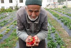 Türkiye onu 'Hayır Bahçesi' ile tanımıştı: Isparta'nın Sav beldesinde acı haber geldi