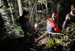 Sakarya’da engebeli arazide düşerek yaralanan orman işçisini ekipler kurtardı