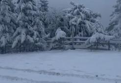 Bolu'nun zirvesine üretim sistemi kuruldu: 30 Nisan'a kadar orada kalacak!