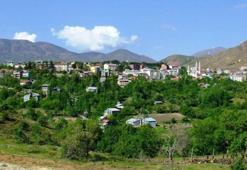 Türkiye'nin hafızasında kaybolan ağaç: Malatya'da bir efsane doğdu