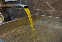 Zeytinyağı fiyatları açıklandı: Rekolte düştü, Tariş fiyat artırdı