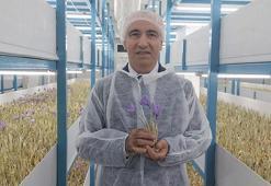 Antalya'da mali müşavir devlet desteğiyle üretime başladı! Ürünün kilosunu 650 bin TL'ye satıyor