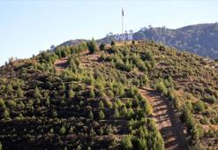 Kara tablo 6 yılda tamamen değişti! Dalaman'da yanan alanlar tekrar yeşerdi