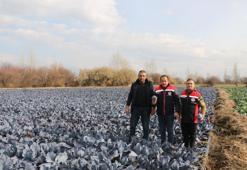 Erzincan’da kış ortasında sebze hasadı