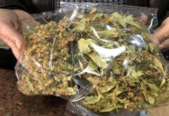 Eskişehir'de fiyatı rekor seviyelere ulaştı! Kilosu 4 bin 500 lira: Kapış kapış satılıyor